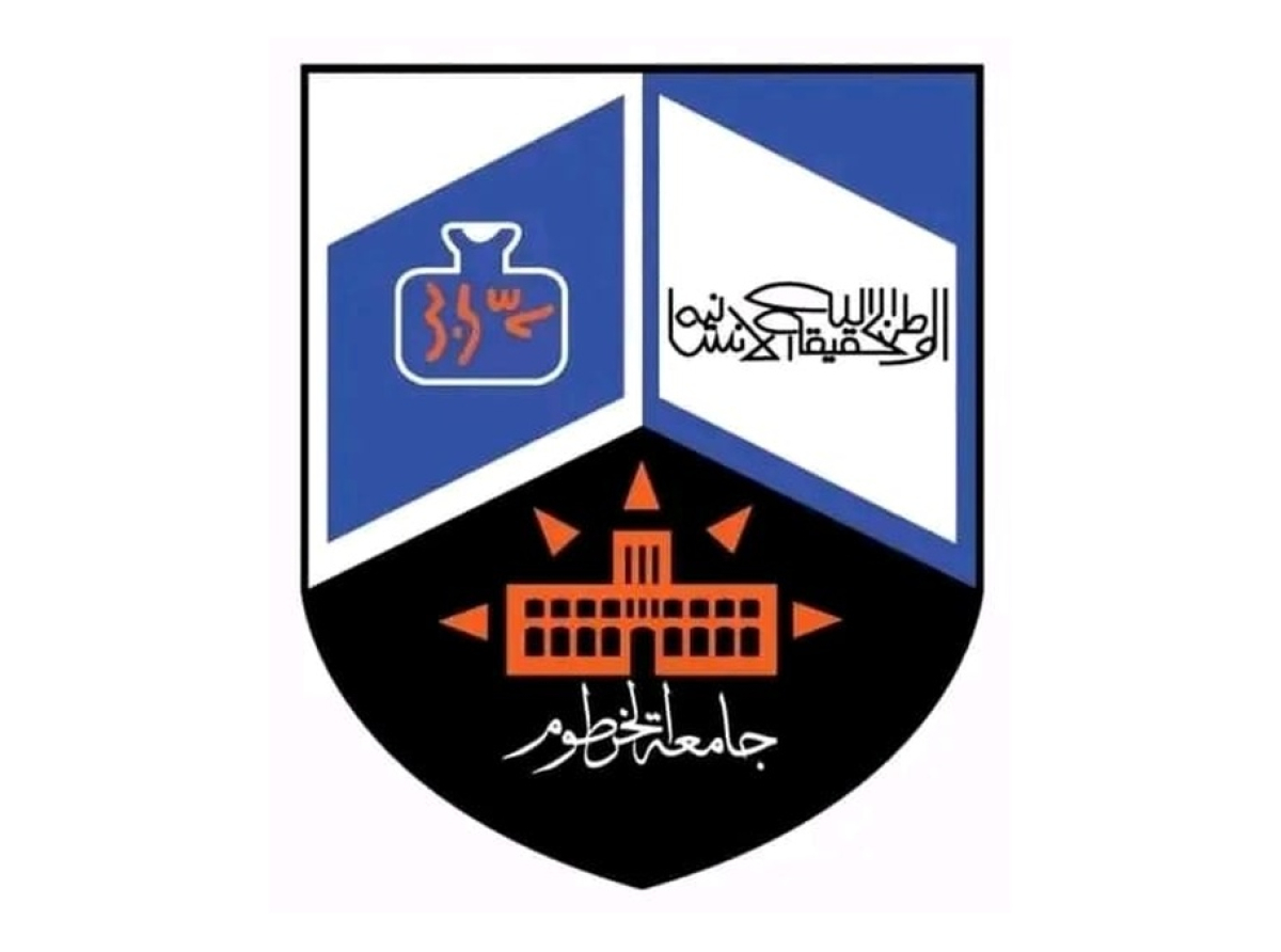 academic staff members